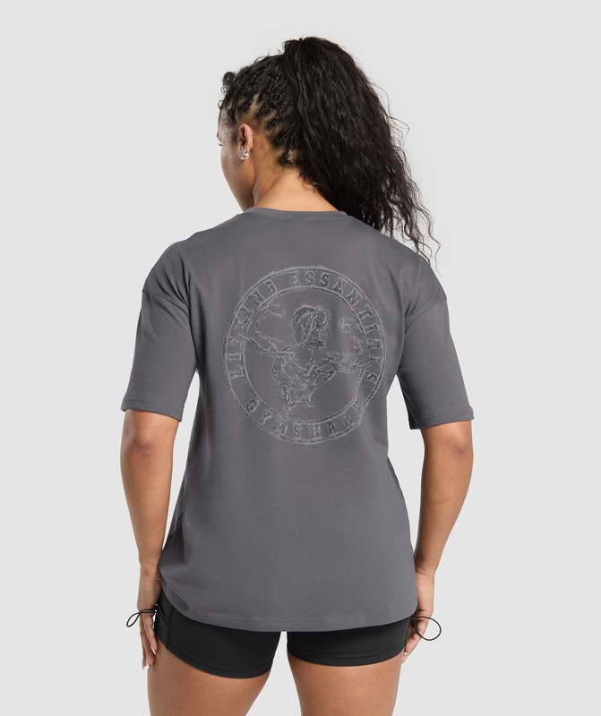 Gymshark Back Gains Graphic Oversized Tee T-Shirt Dam Grå | 063KIQACZ
