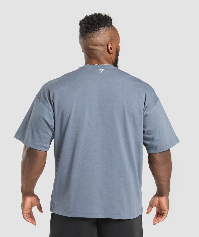 Gymshark Doberman Graphic T-Shirt T-Shirt Herr Blå | 904UMNRCA
