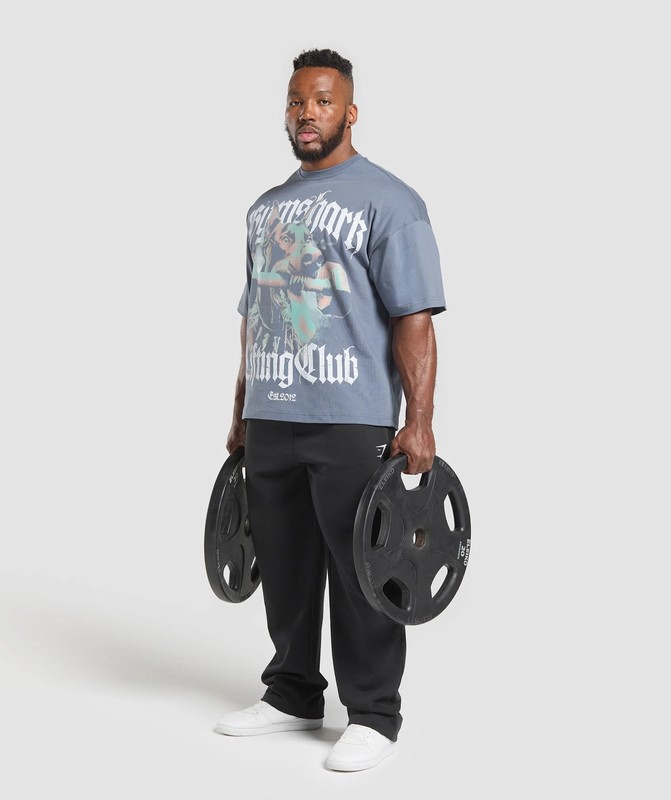 Gymshark Doberman Graphic T-Shirt T-Shirt Herr Blå | 904UMNRCA