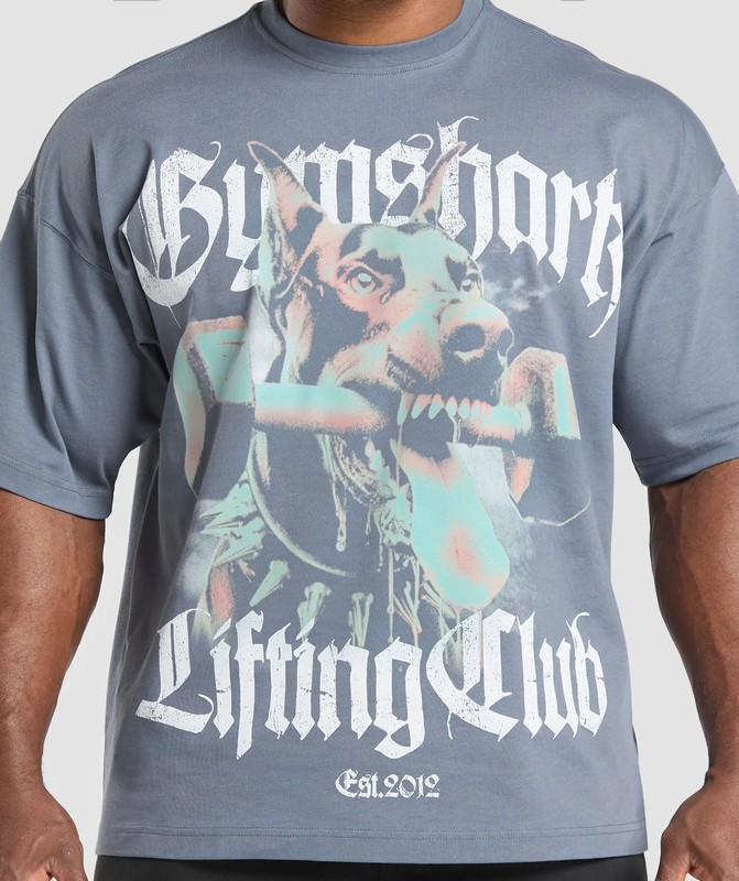 Gymshark Doberman Graphic T-Shirt T-Shirt Herr Blå | 904UMNRCA