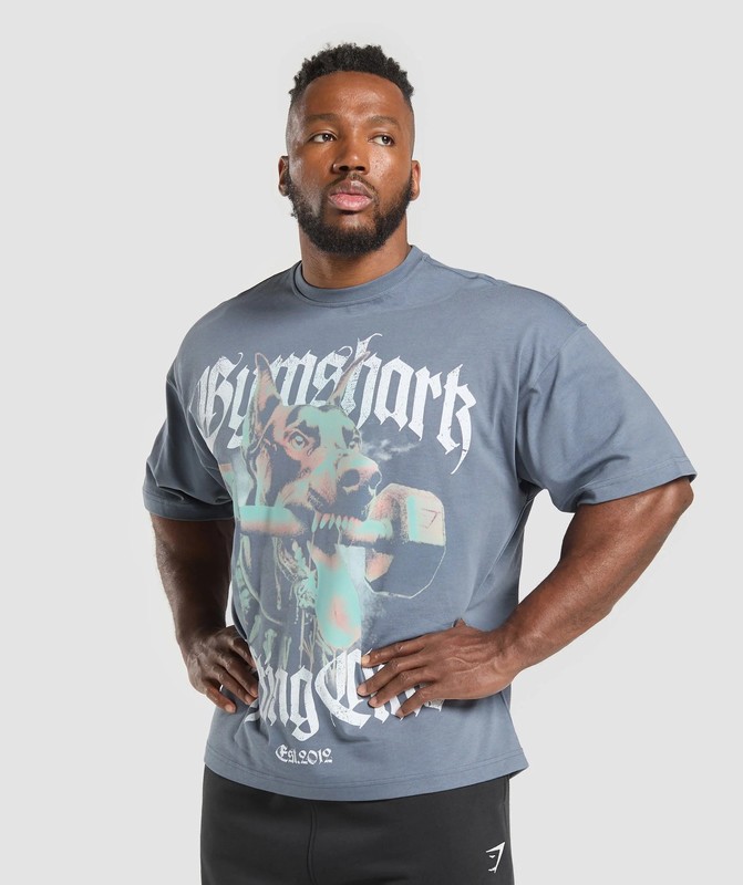 Gymshark Doberman Graphic T-Shirt T-Shirt Herr Blå | 904UMNRCA
