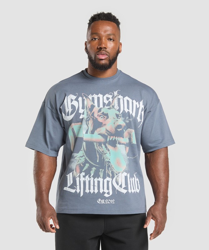 Gymshark Doberman Graphic T-Shirt T-Shirt Herr Blå | 904UMNRCA