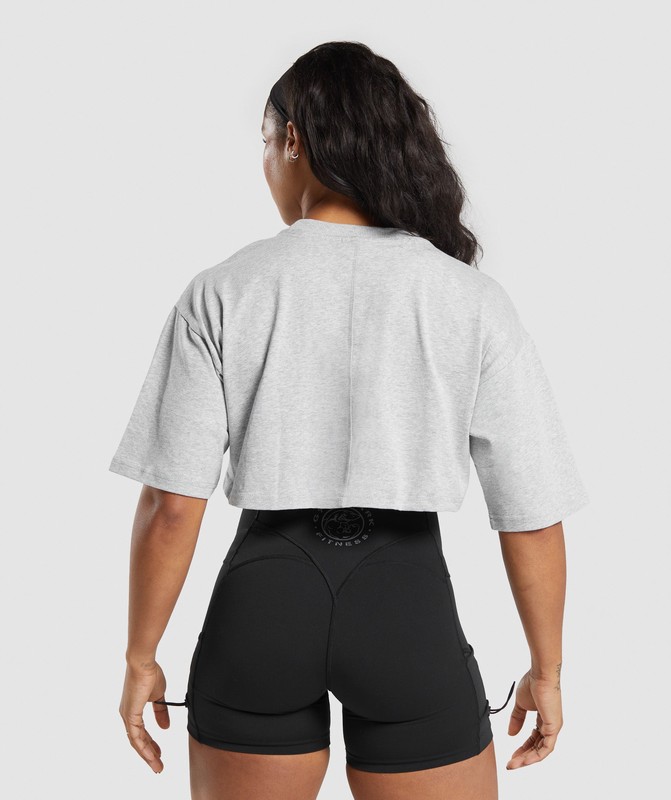 Gymshark Heavyweight Cotton Crop T-Shirt T-Shirt Dam Grå | 496HPBTVX