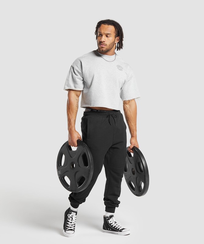 Gymshark Legacy Cropped Short Sleeve Crew Strumpor Herr Ljusgrå | 217NBTFOI