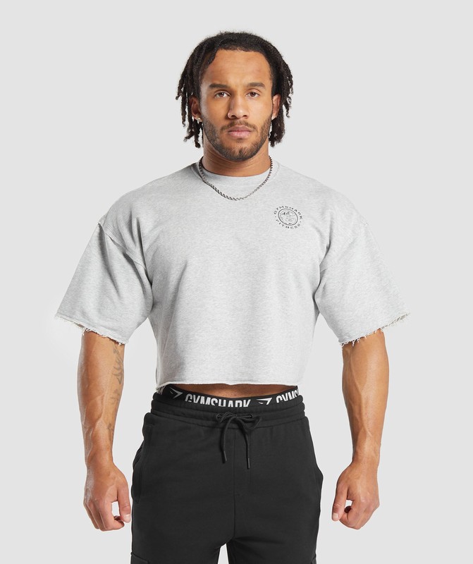Gymshark Legacy Cropped Short Sleeve Crew Strumpor Herr Ljusgrå | 217NBTFOI