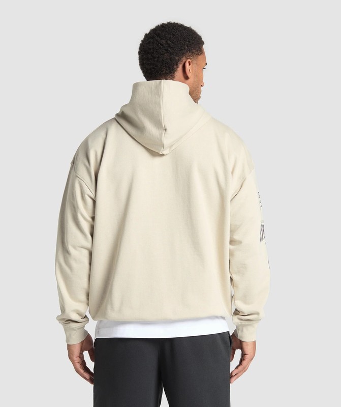 Gymshark Lifting Essentials Hoodie Hoodie Herr Grå | 843RWDHSL