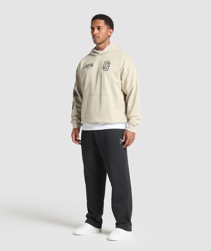 Gymshark Lifting Essentials Hoodie Hoodie Herr Grå | 843RWDHSL