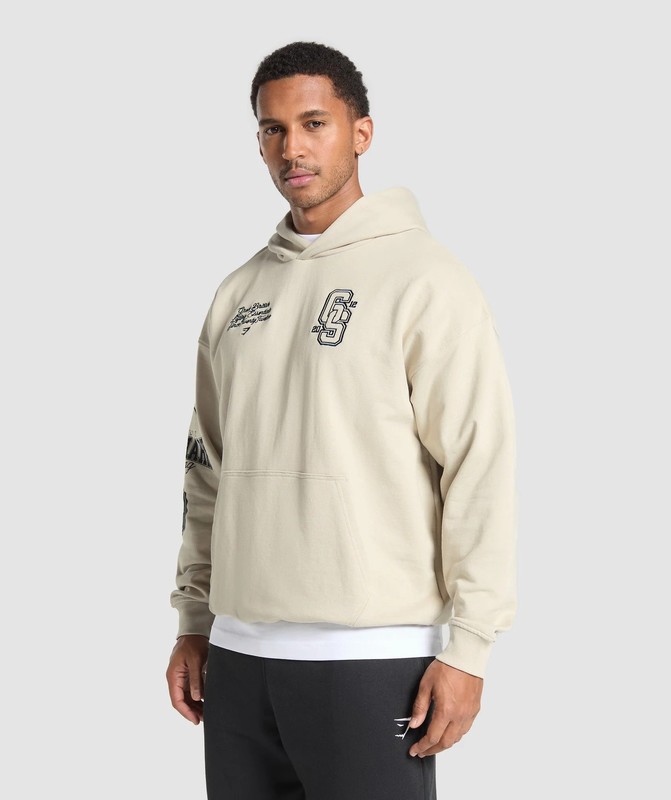 Gymshark Lifting Essentials Hoodie Hoodie Herr Grå | 843RWDHSL
