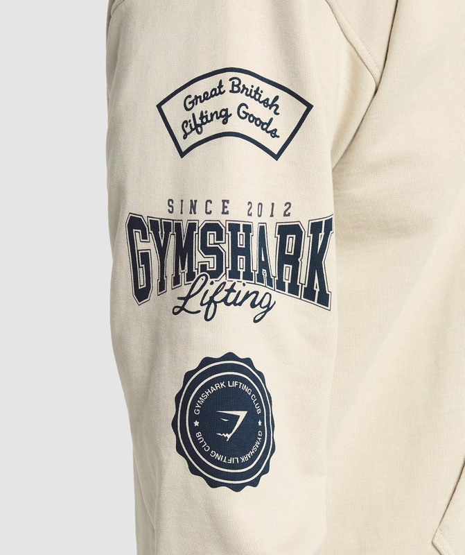 Gymshark Lifting Essentials Hoodie Hoodie Herr Grå | 843RWDHSL
