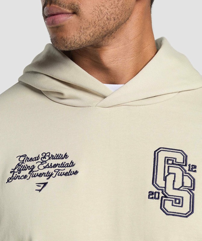 Gymshark Lifting Essentials Hoodie Hoodie Herr Grå | 843RWDHSL